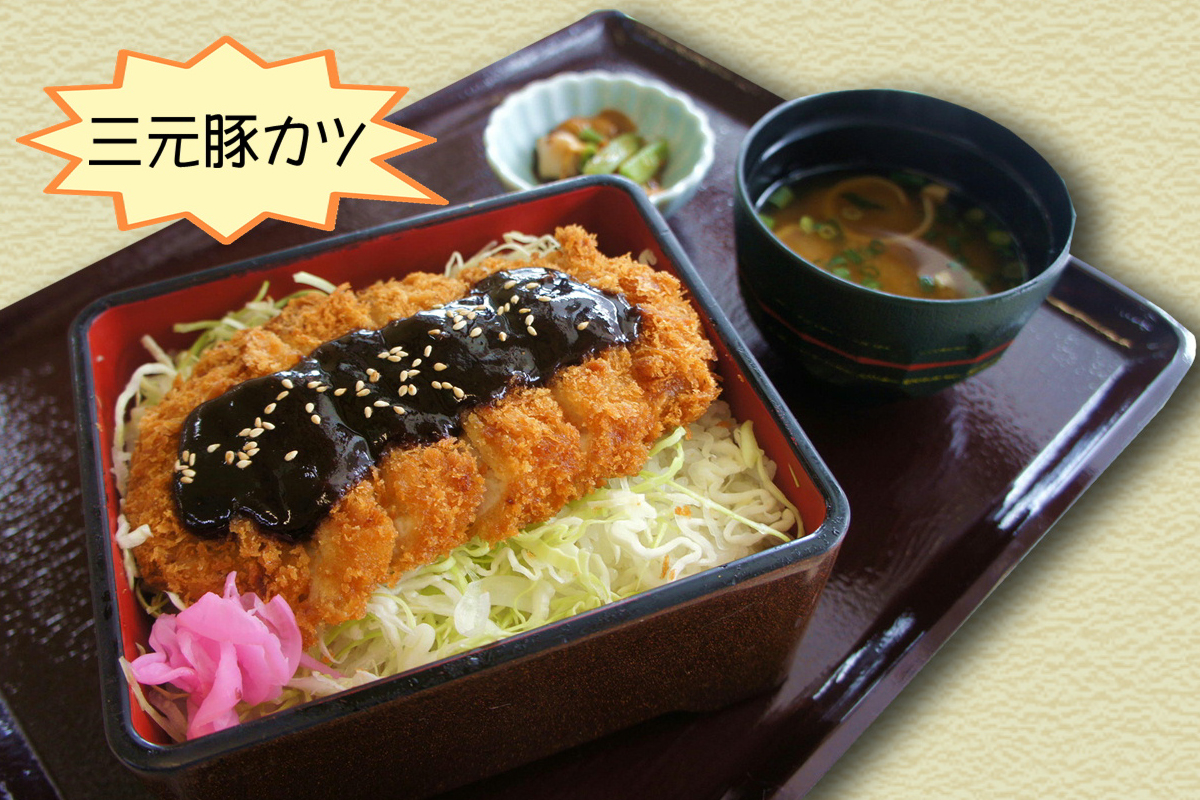 みそかつ重・ソースかつ重